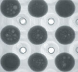 Figure 3. Characteristic digital X-ray image of what is being called ‘champagne voiding’ within BGA joints
